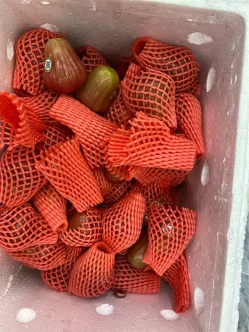 Mận Hữu Cơ MST 1kg