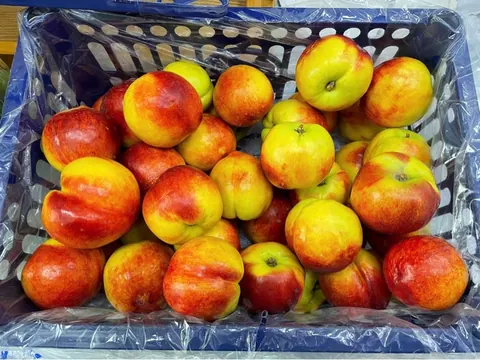 Đào Vàng 1kg