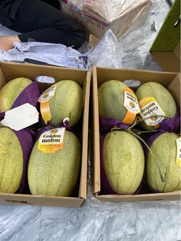 Dưa lưới Queen MeLon 1kg