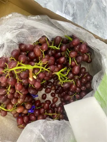Nho Đỏ 1T 1kg