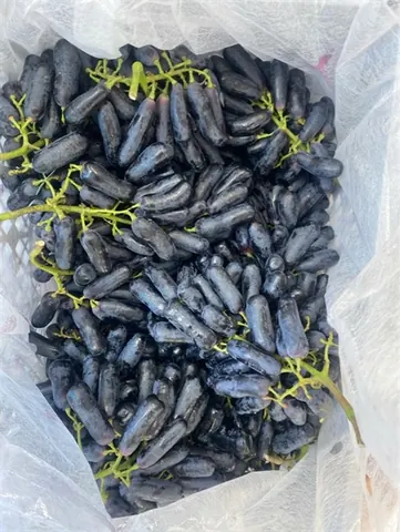 Nho Ngon Tay Úc 1kg