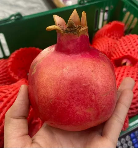 Lựu Hạt Mềm Ruột Đỏ KG