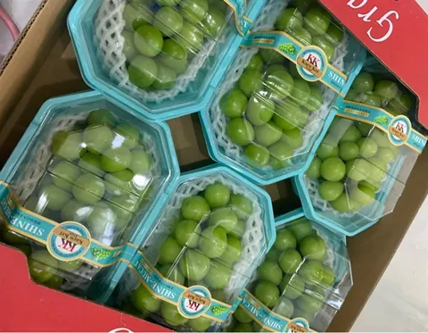 Nho Mẫu Đơn Hộp KK