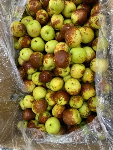 Táo Tàu 1T KG