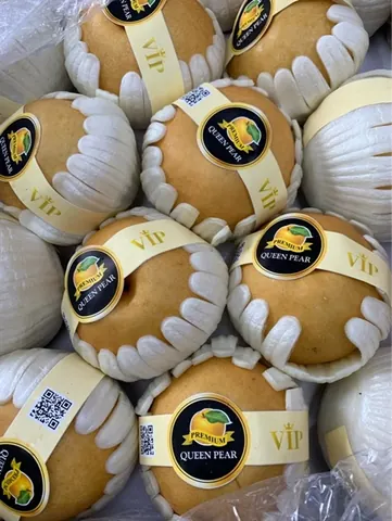 Lê Nâu Hàn Queen Pear Vip KG
