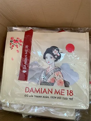 Túi Vải Damianme 18