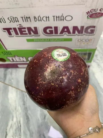 Vú Sữa Tím Bách Thảo Kg