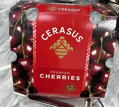 Cherry CERASUS Kg