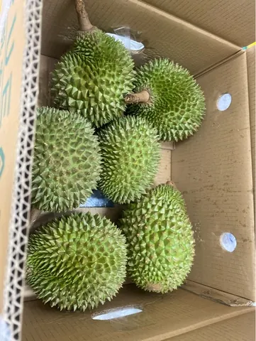 Sầu Riêng Musangking Thái Kg