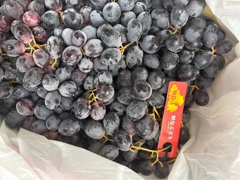 Nho Đen Úc Loại 1T Kg