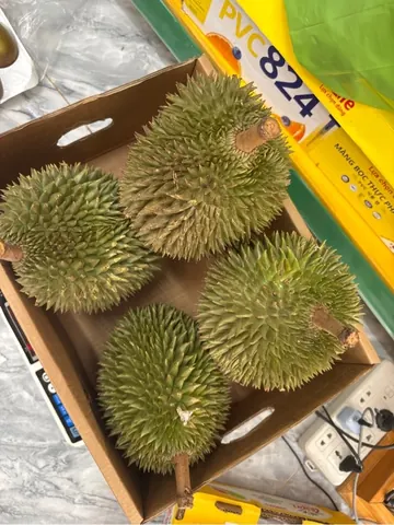 Sầu Riêng Ri6 Cô Hai kg