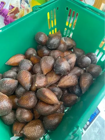Mây Indo Kg