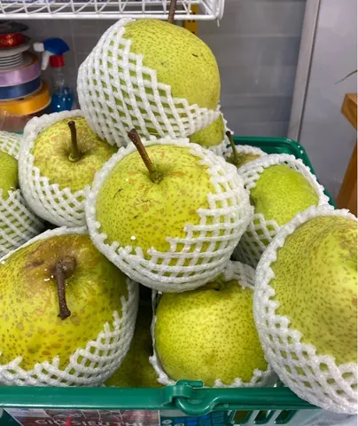 Lê Thiên Đường Kg